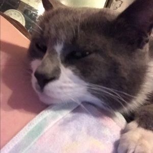 Meet your Posher, Macie